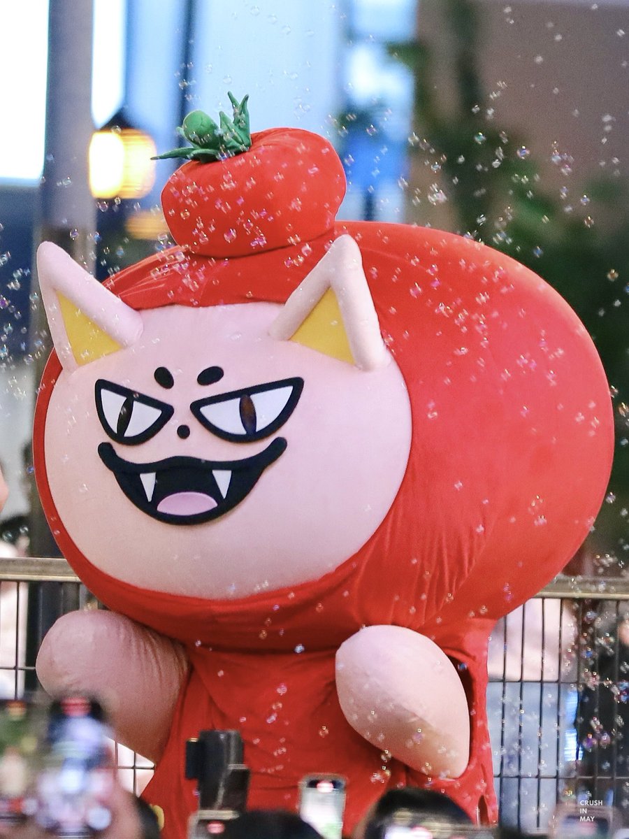 CIM 🦊🍅 tweet media