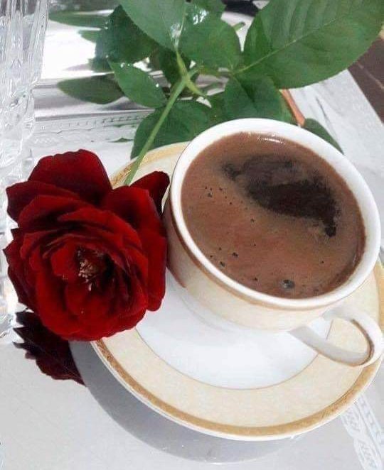 🇸🇦الهنوف🇸🇦 tweet media