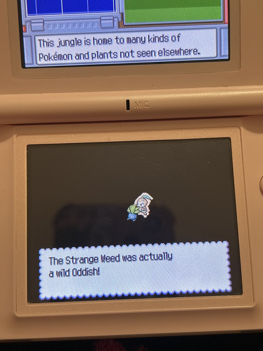 tee ˚₊‧꒰ა ♡ ໒꒱ ‧₊˚ tweet media