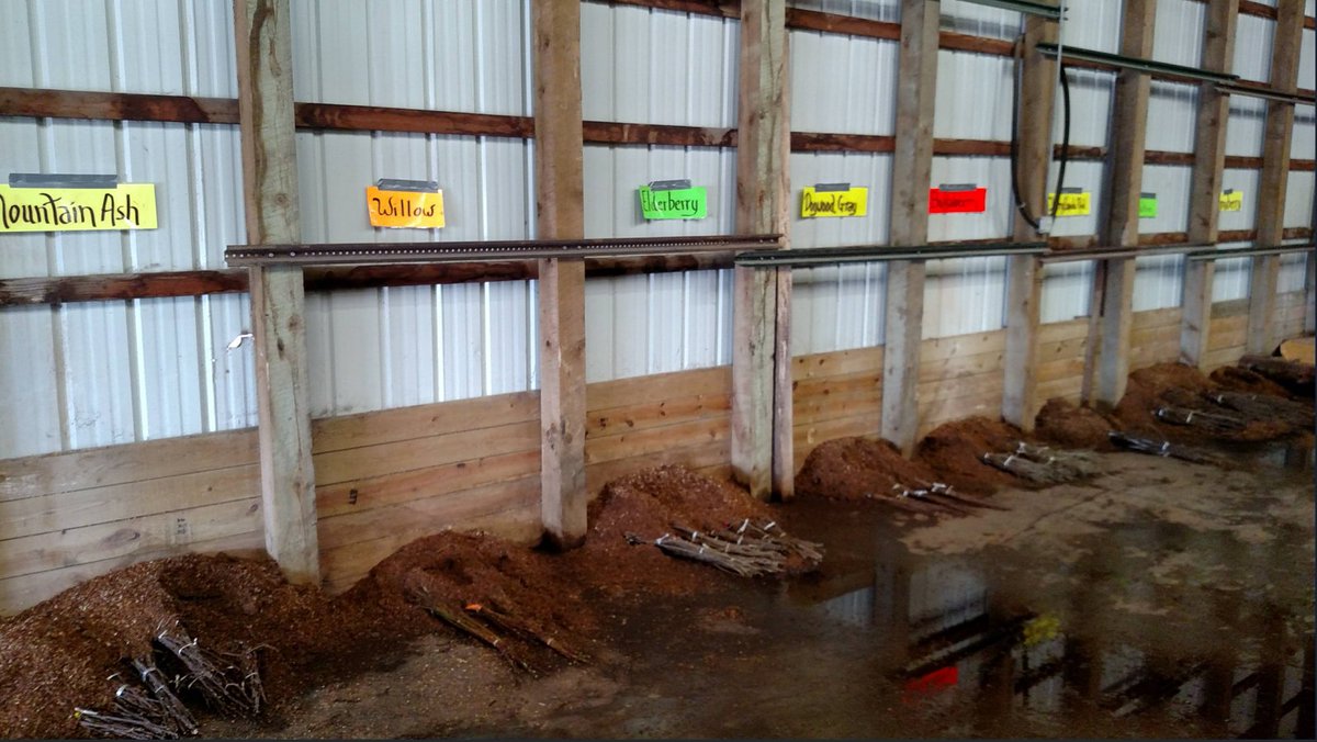 Wright County, MN tweet media