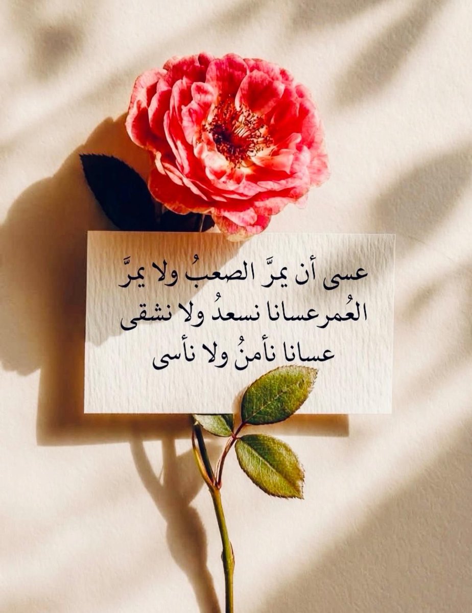 Zaina usa.con🇰🇼 tweet media