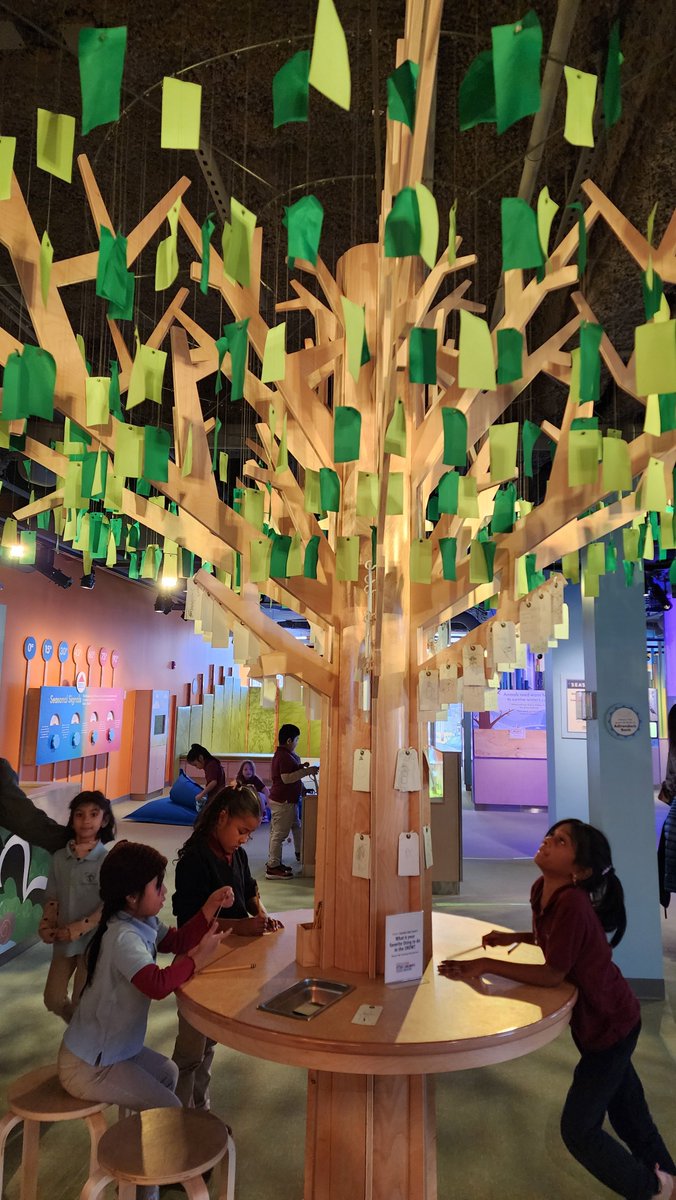 Utica Academy of Science tweet media