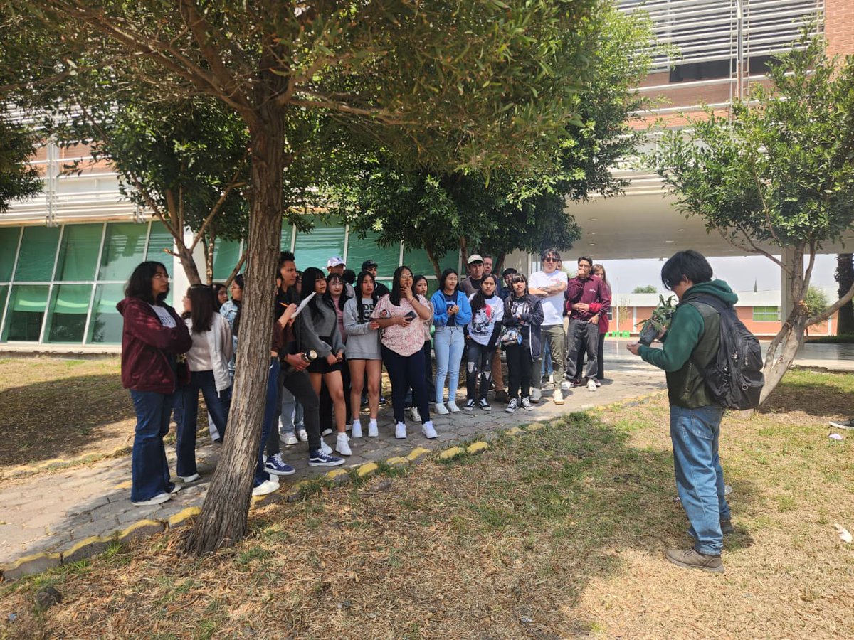 PROBOSQUE tweet media