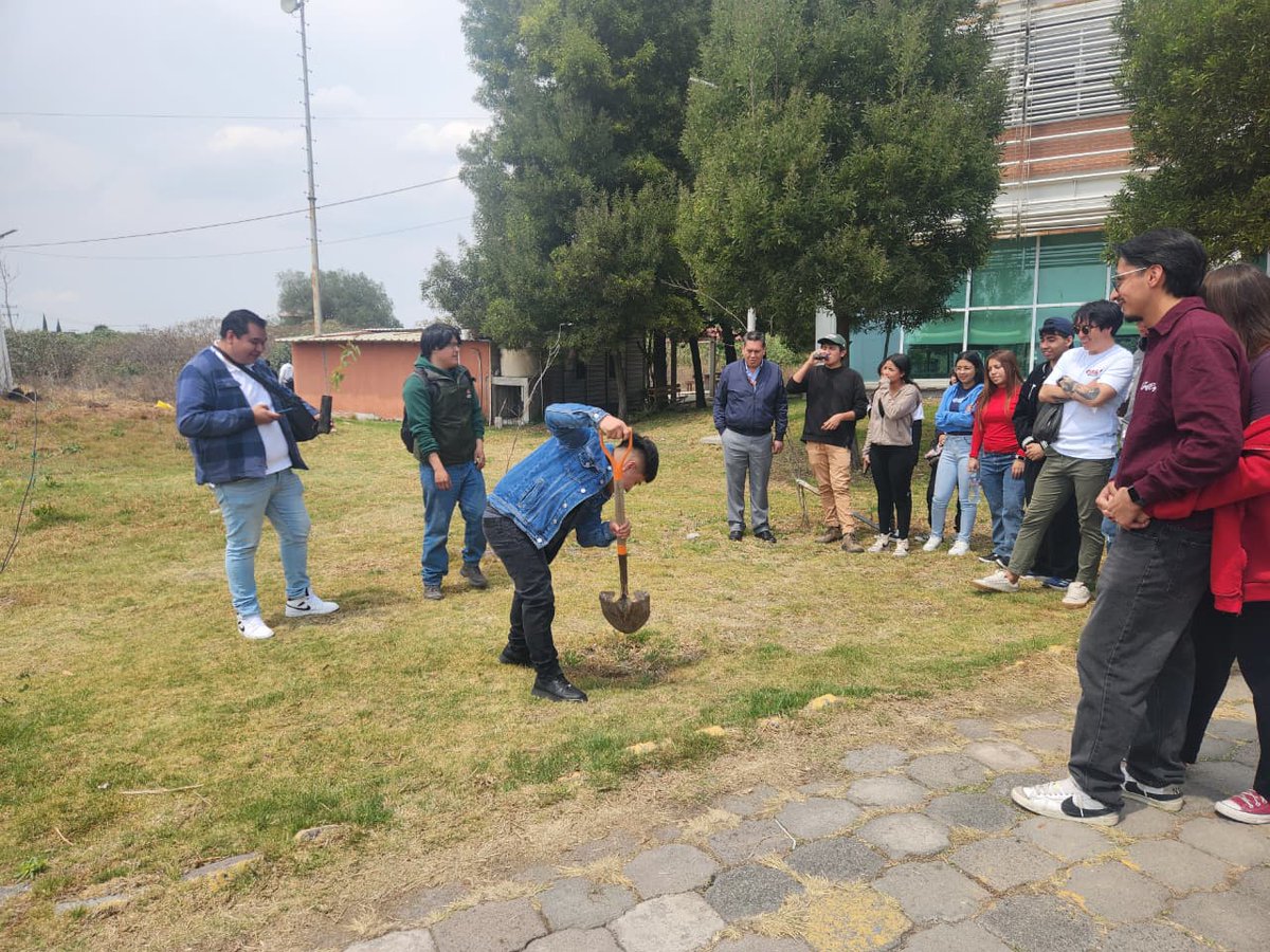 PROBOSQUE tweet media