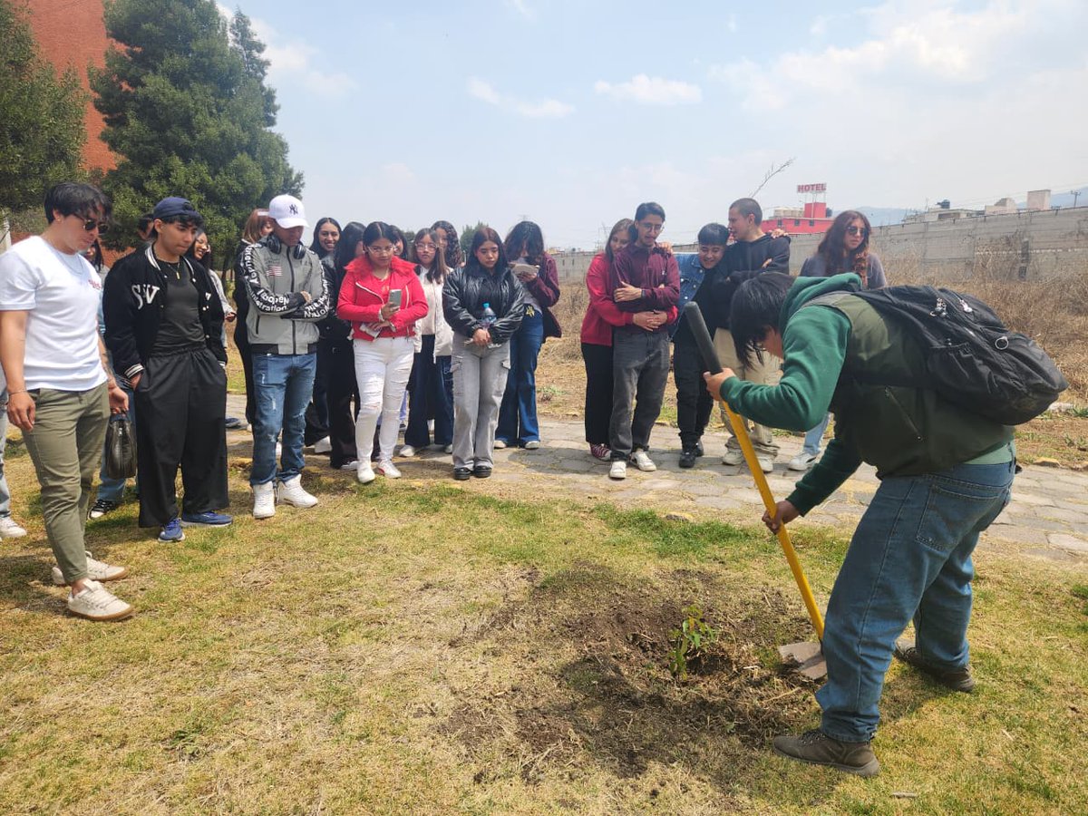 PROBOSQUE tweet media