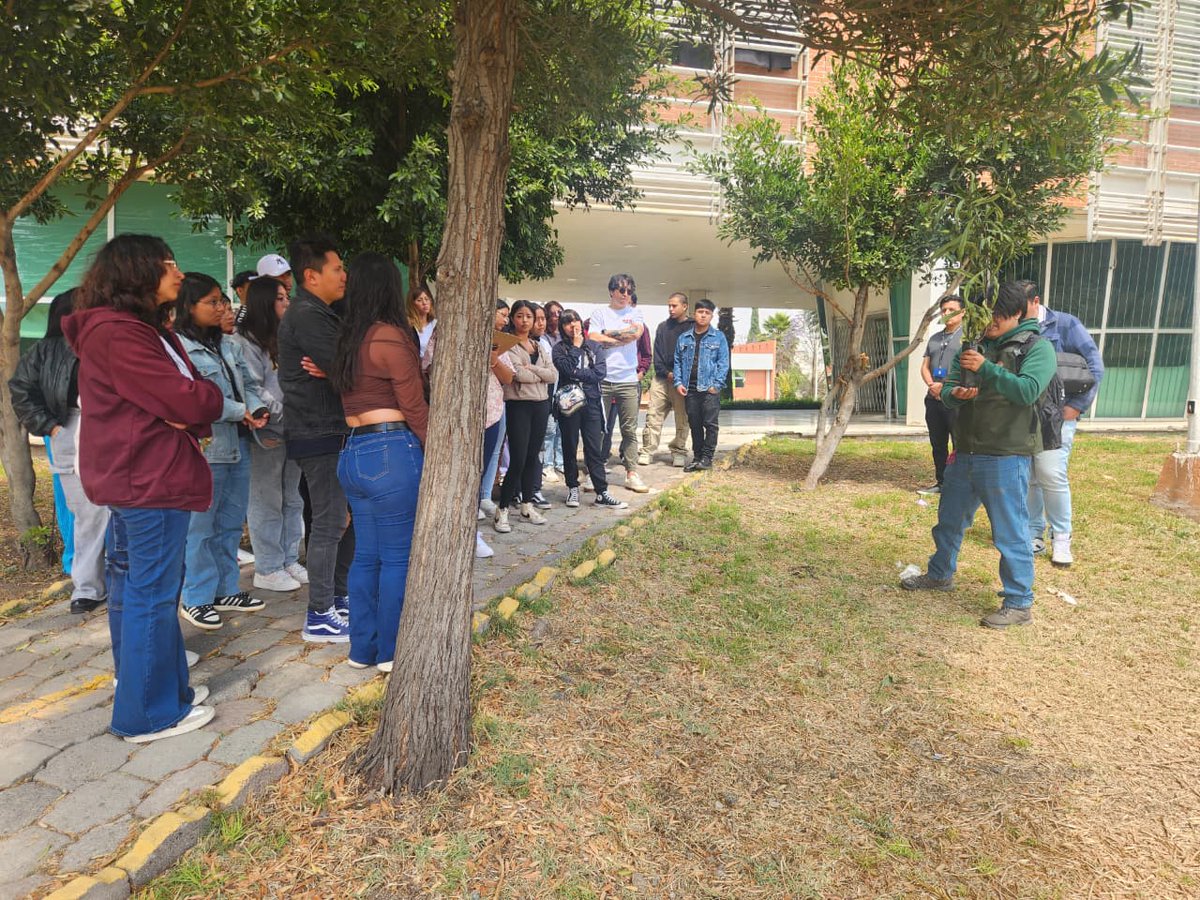 PROBOSQUE tweet media