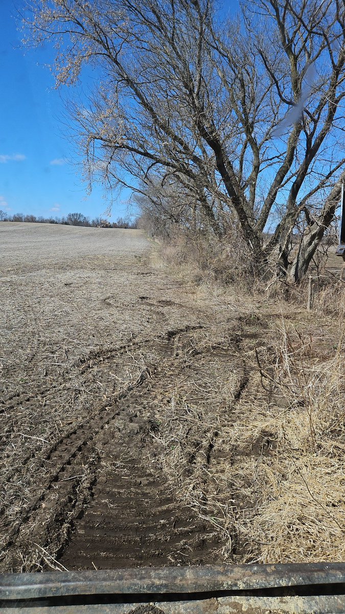 Can't believe it is already friday.  Dont let your fence rows look like mine.