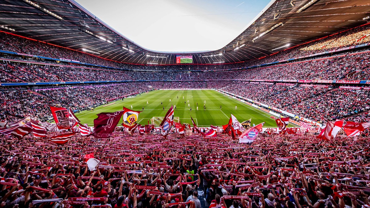 belguinha tweet media