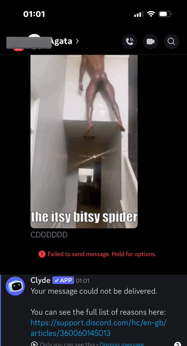 pjo @ 🇨🇳 tweet media