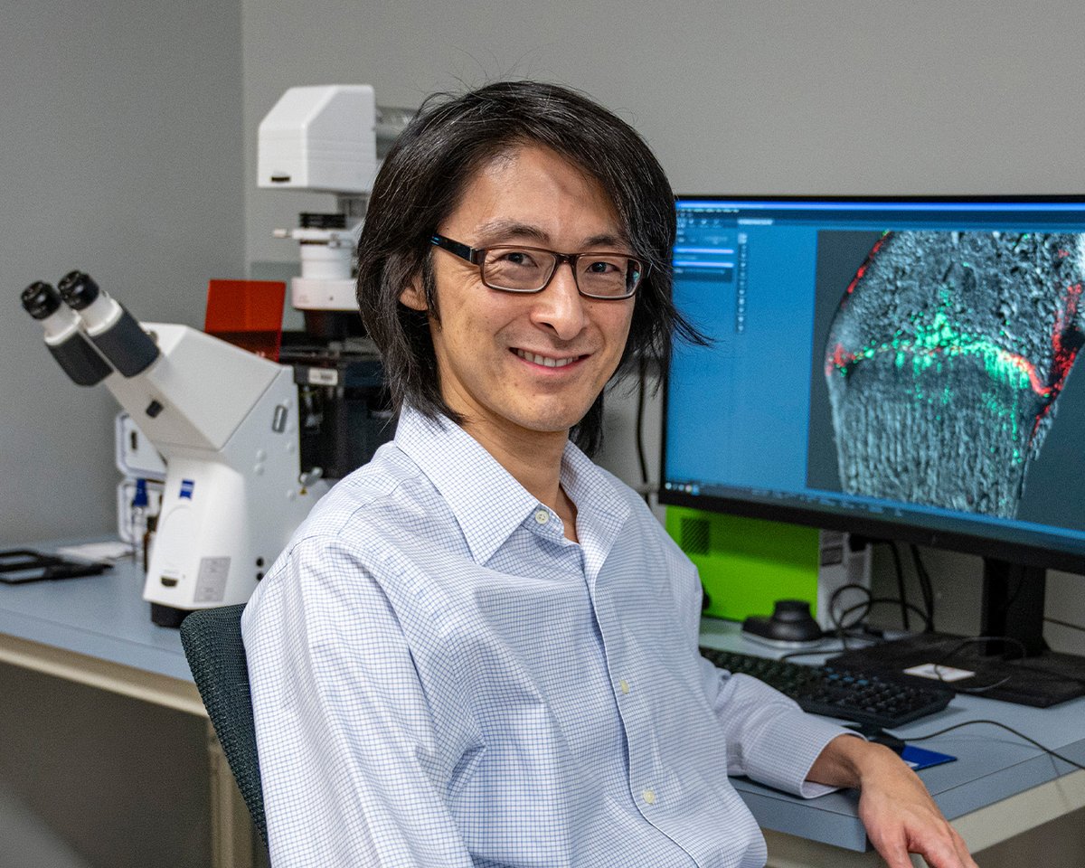 UTHealth Houston School of Dentistry tweet media