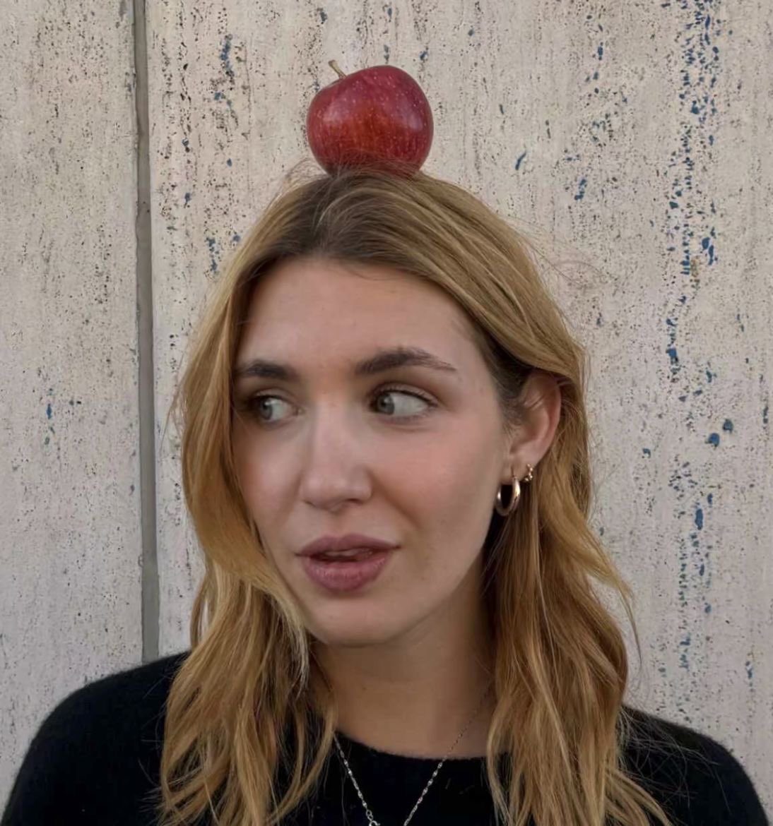 :paulie ⚞•⚟ tweet media