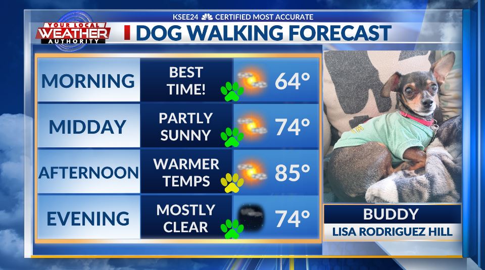 Reuben Contreras tweet media