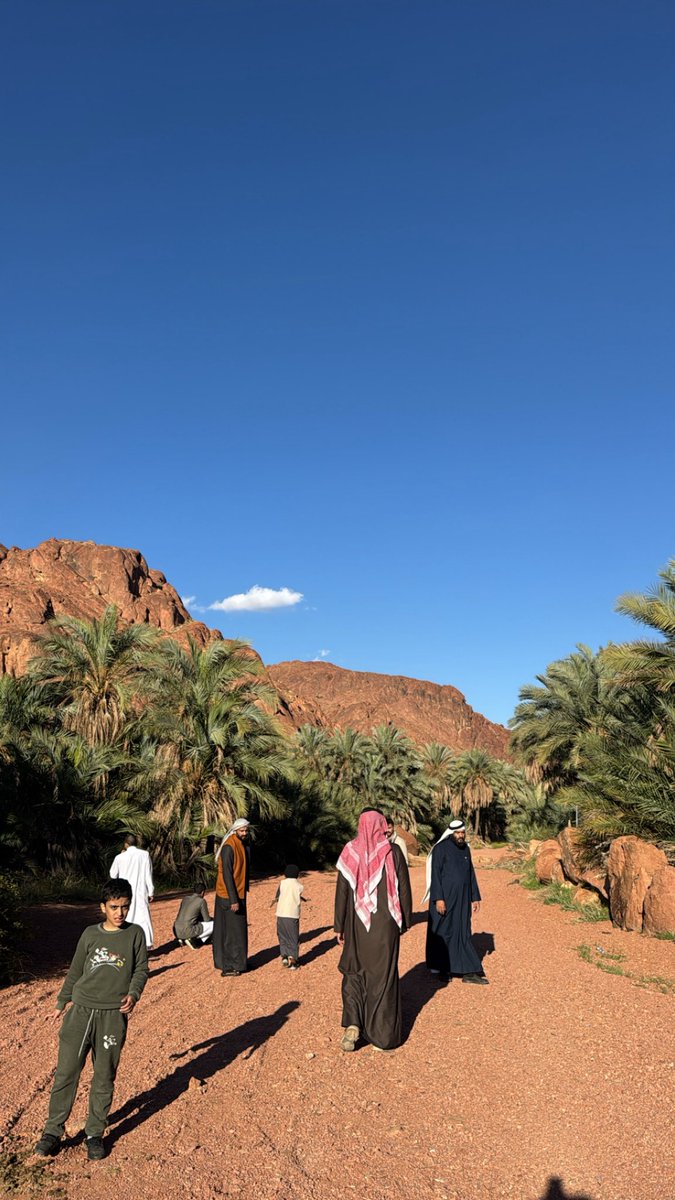 نادر tweet media