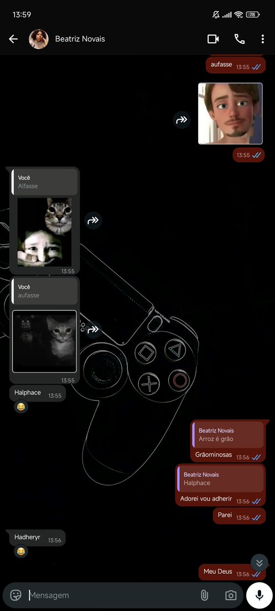 Camila Hammerschmidt tweet media