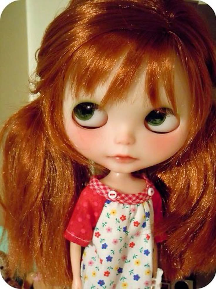 mango 🪼 tweet media