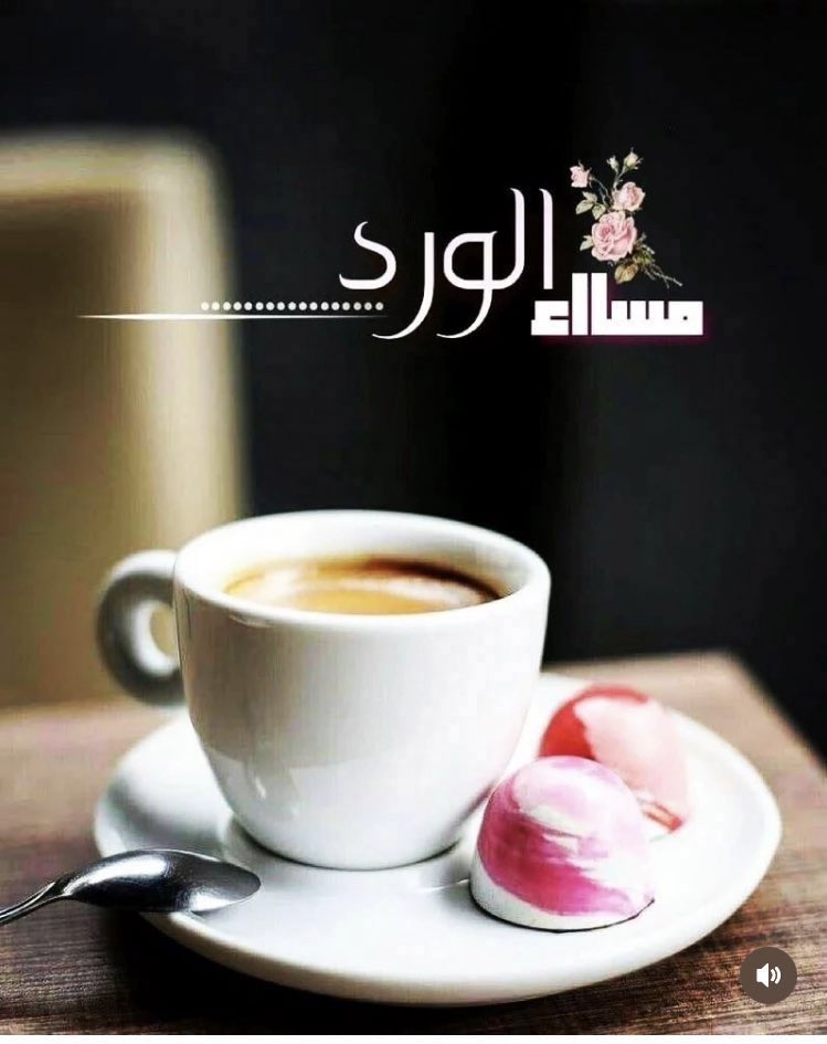 🌿مروان على. 🌿 tweet media