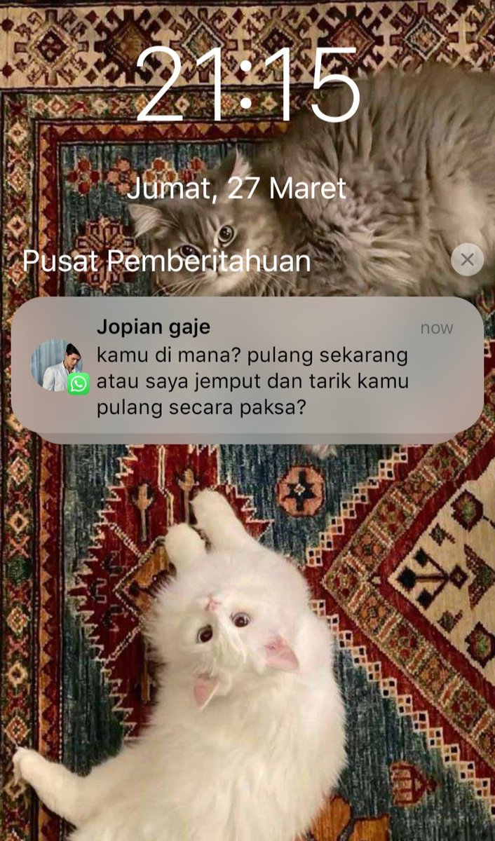 ivy_luvyou tweet media