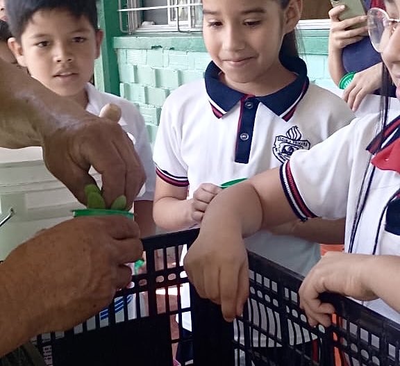 Gobierno Municipal de Saltillo tweet media