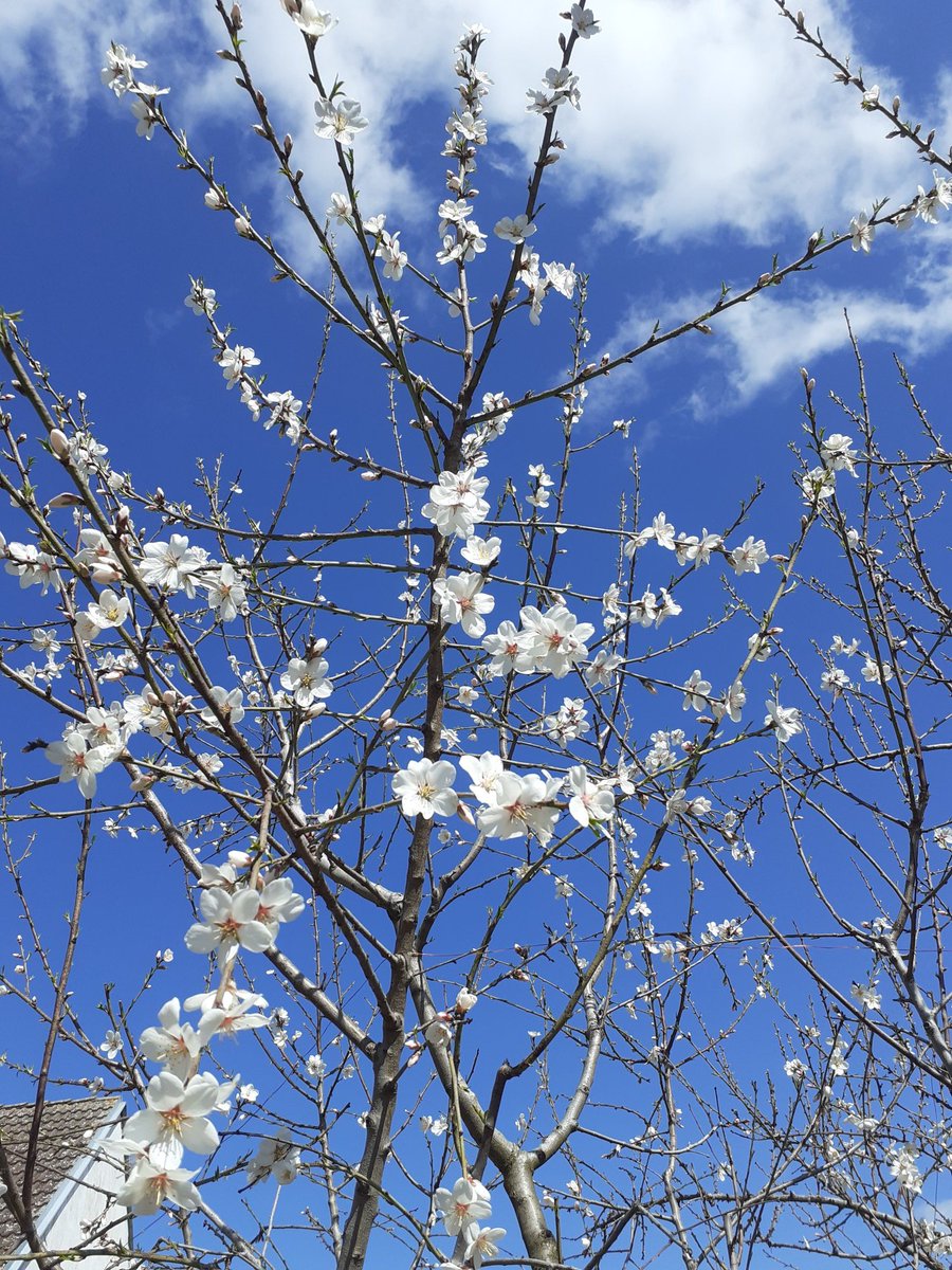 Petra Síčová (Myslivečka)🇨🇿🇺🇦🇪🇺 tweet media