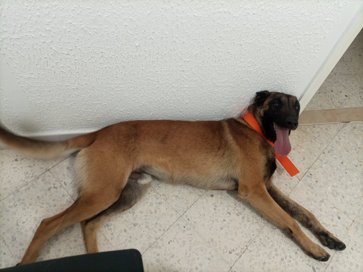 Eva-Nora tweet media