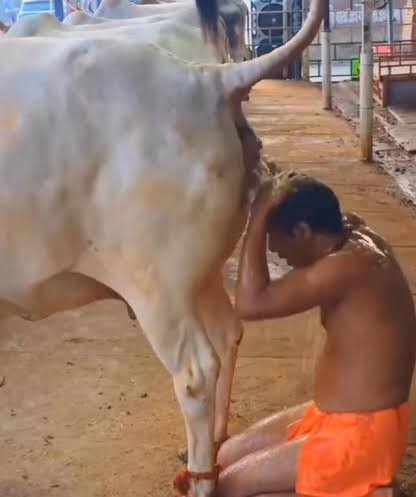 Mr. IronMan tweet media