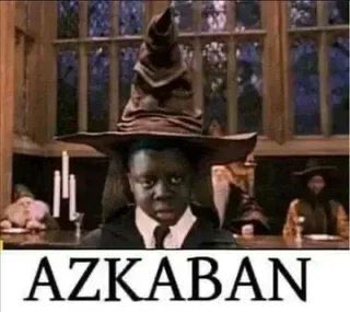 Flamingo tweet media