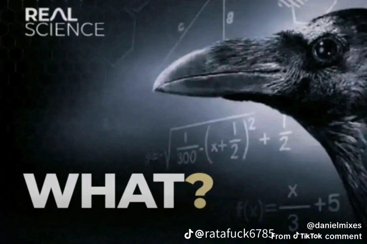 🥷🏿🇬🇭 tweet media