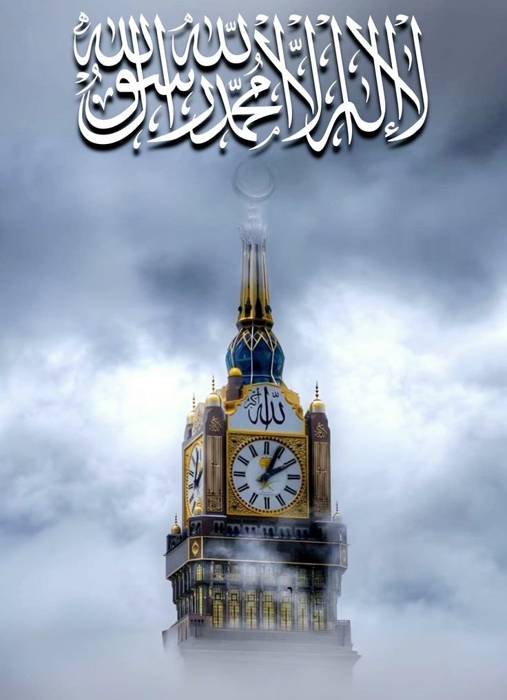 dmplgrll tweet media