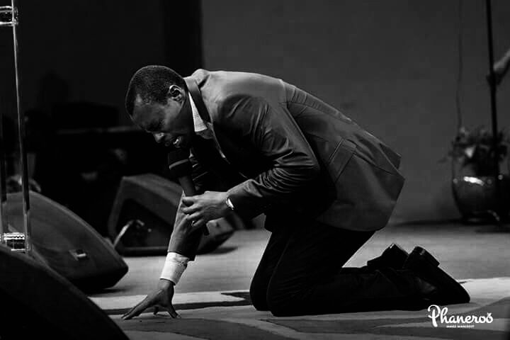 Serendipity 🍒 tweet media