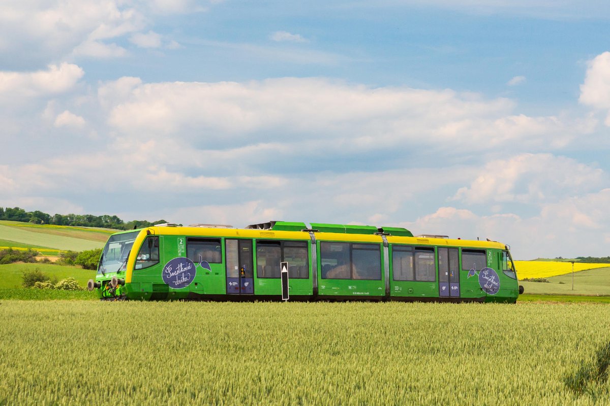 Michal Munzlinger 🤘 tweet media