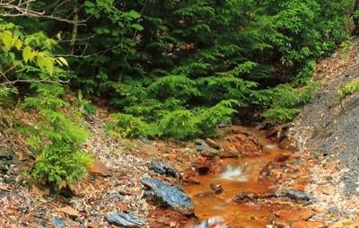 MoundLore tweet media