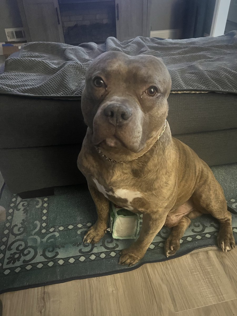 keoshia thigpen tweet media