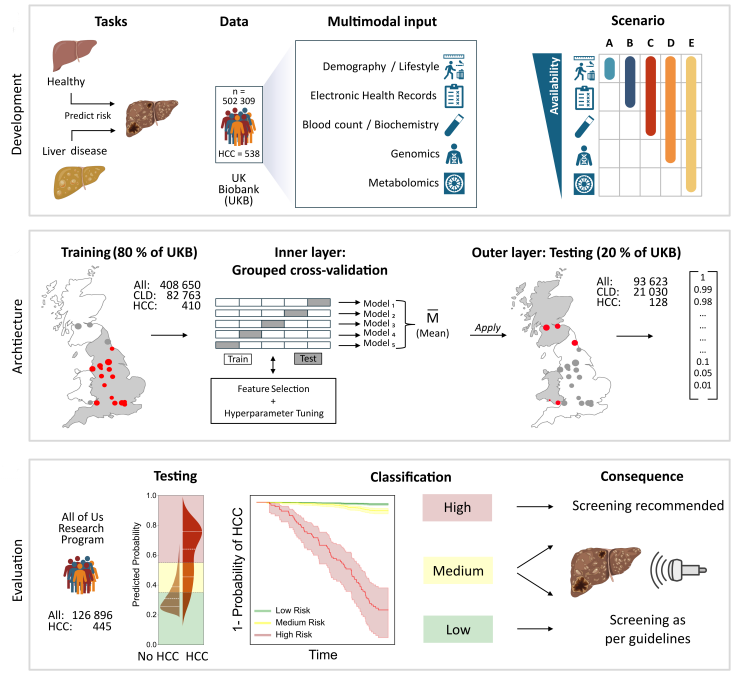 Elizabeth McKenna tweet media