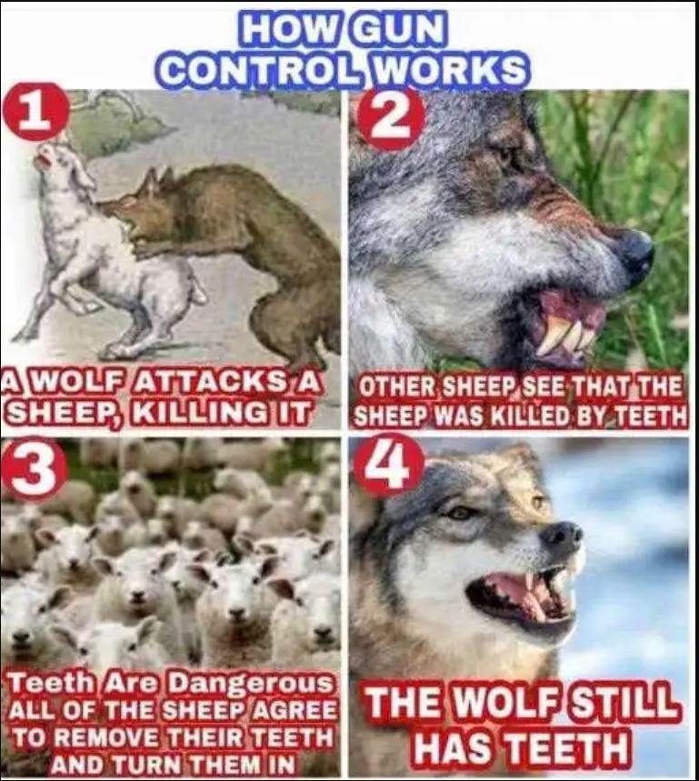 Tertiary Objective tweet media