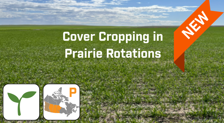 SaskSoil tweet media