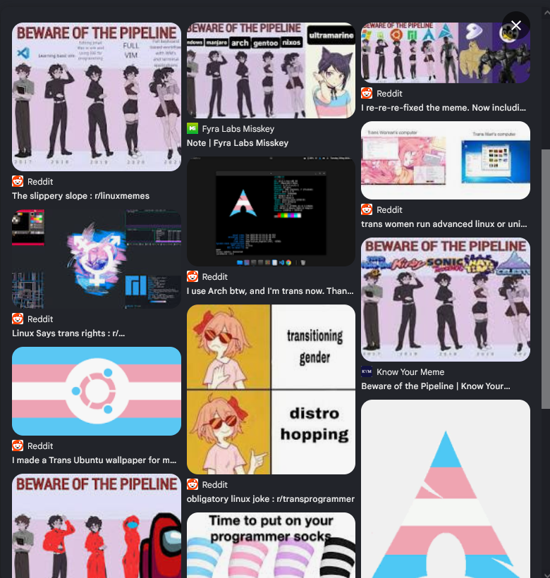 Aryan Alex Casey tweet media