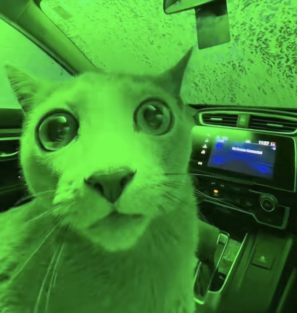 The Showman~🔞 tweet media