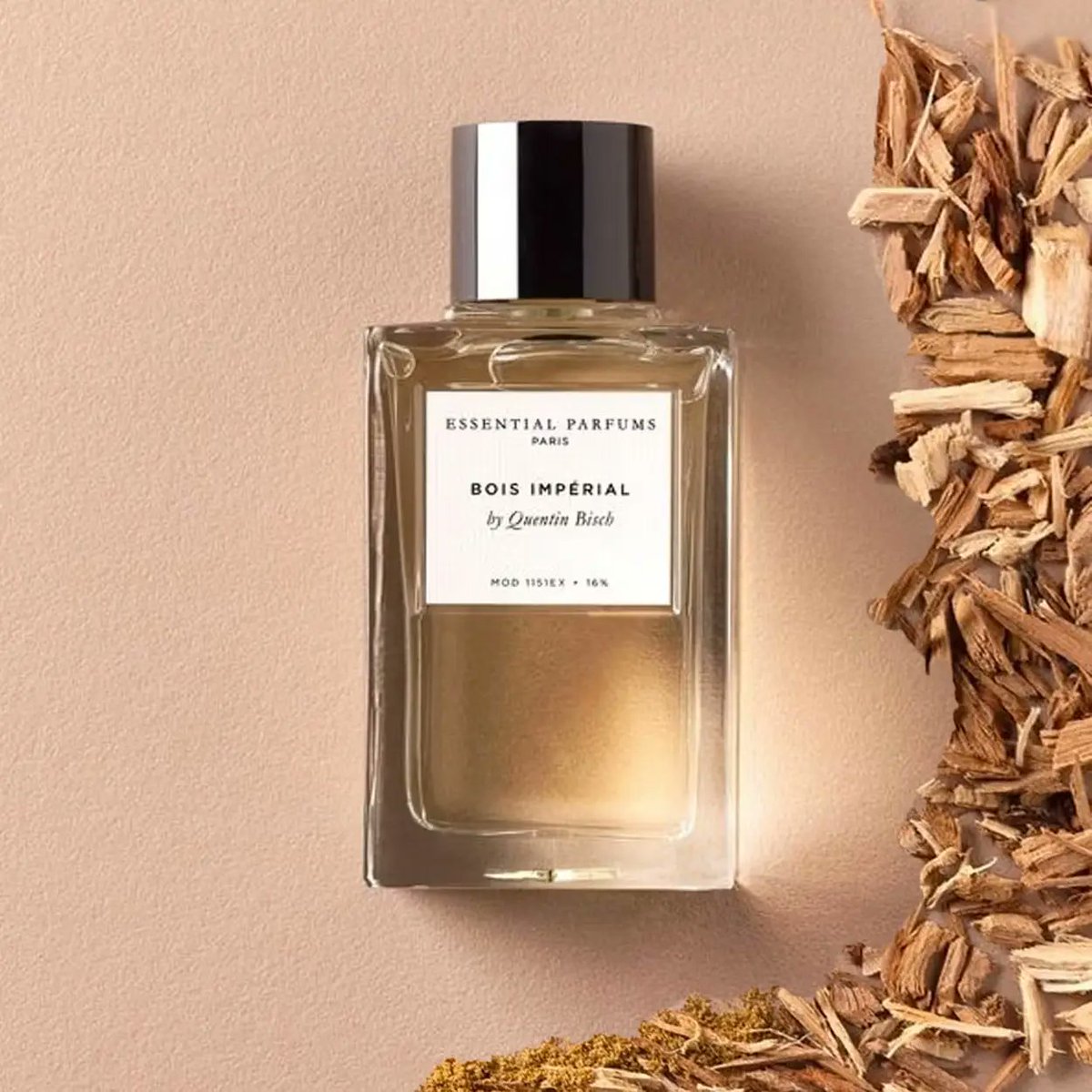 LE NICHEUR 🧤 tweet media