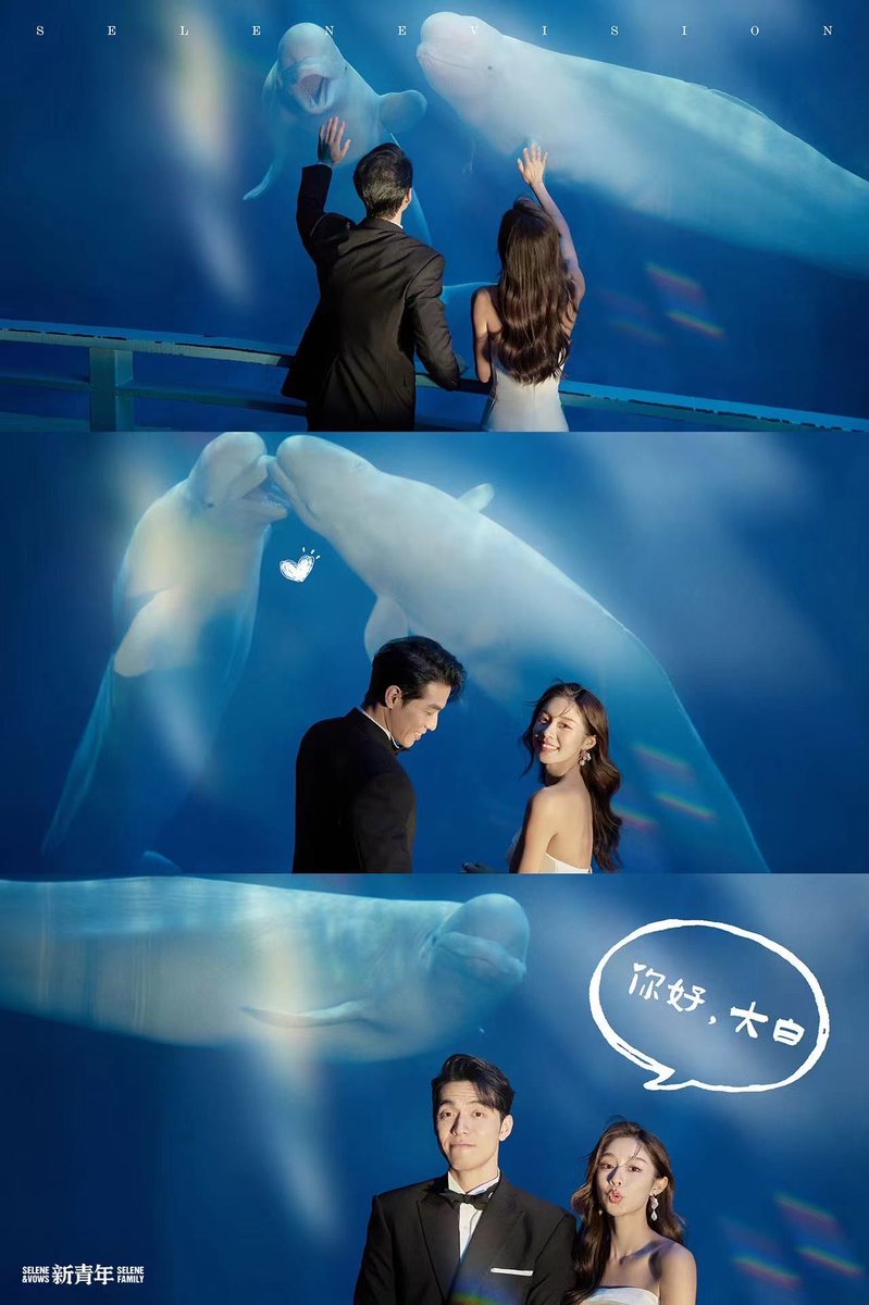 Alex Nadareishvili tweet media