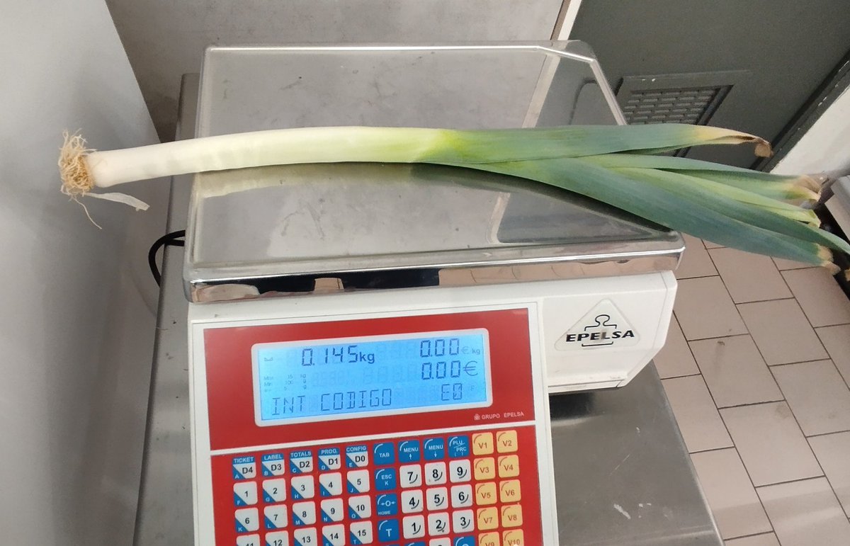 รคภtเคɠ๏ tweet media