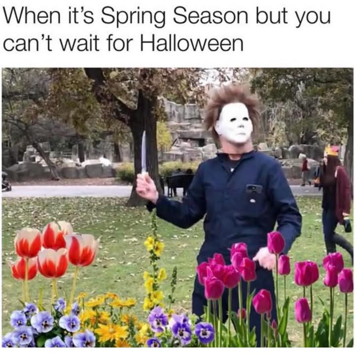 🔪 🎃 Mask & Marrow 💀 🦇 tweet media