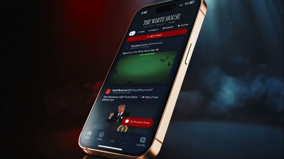 Dara Marchica tweet media