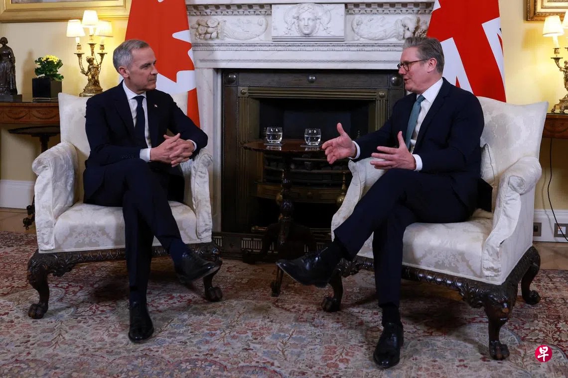 Finding心归何处🇨🇦🇺🇸 tweet media