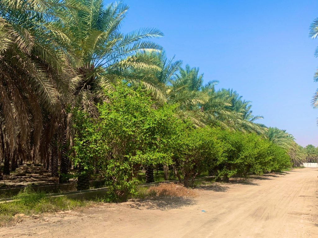 م. عبدالله الشايب tweet media