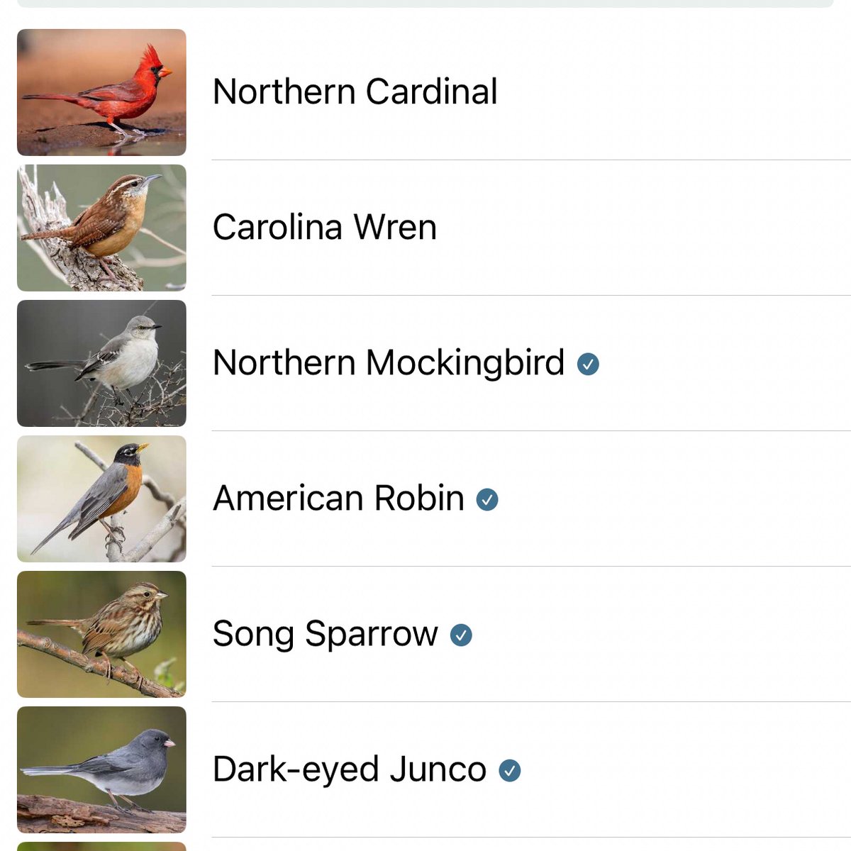 hannaH 🐦‍⬛✖️✖️ tweet media