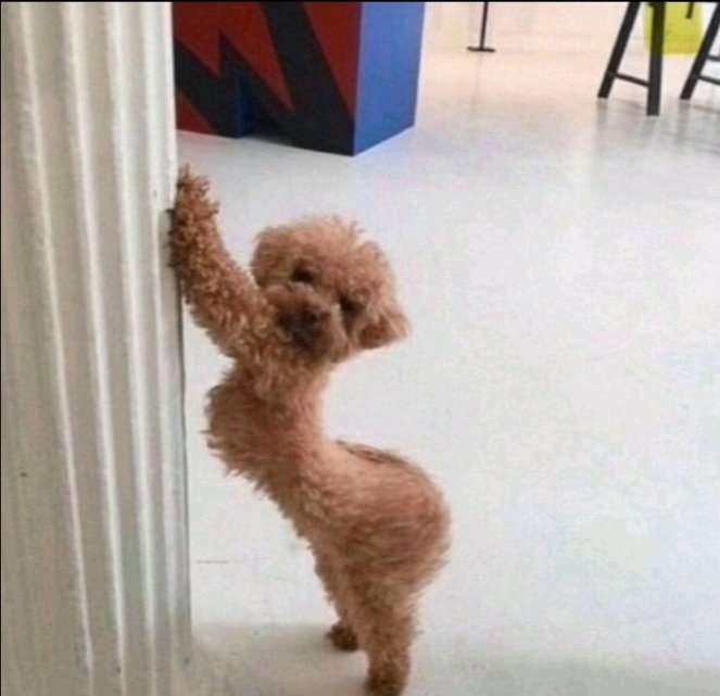 Fiya☘️ tweet media