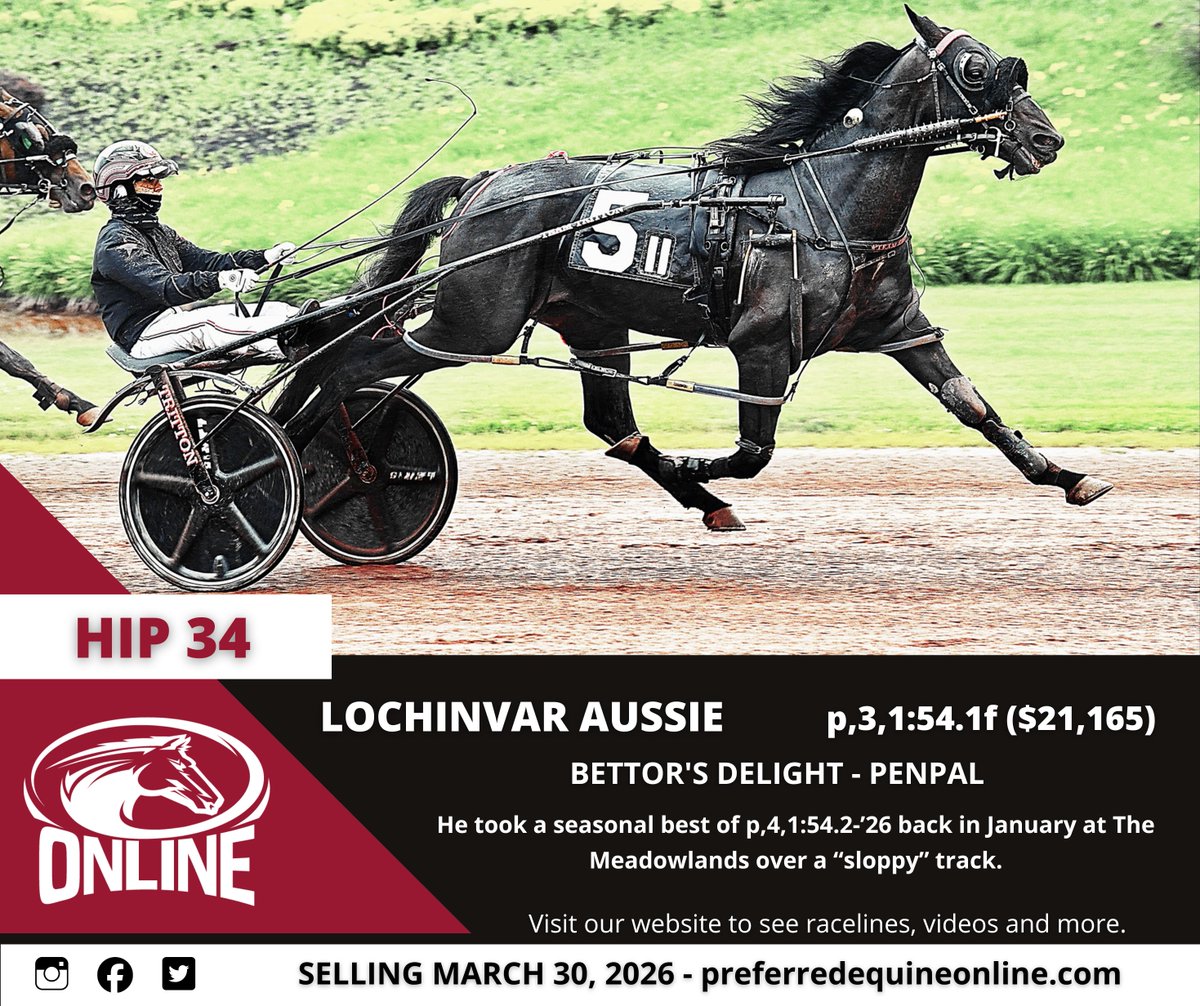 Preferred Equine tweet media