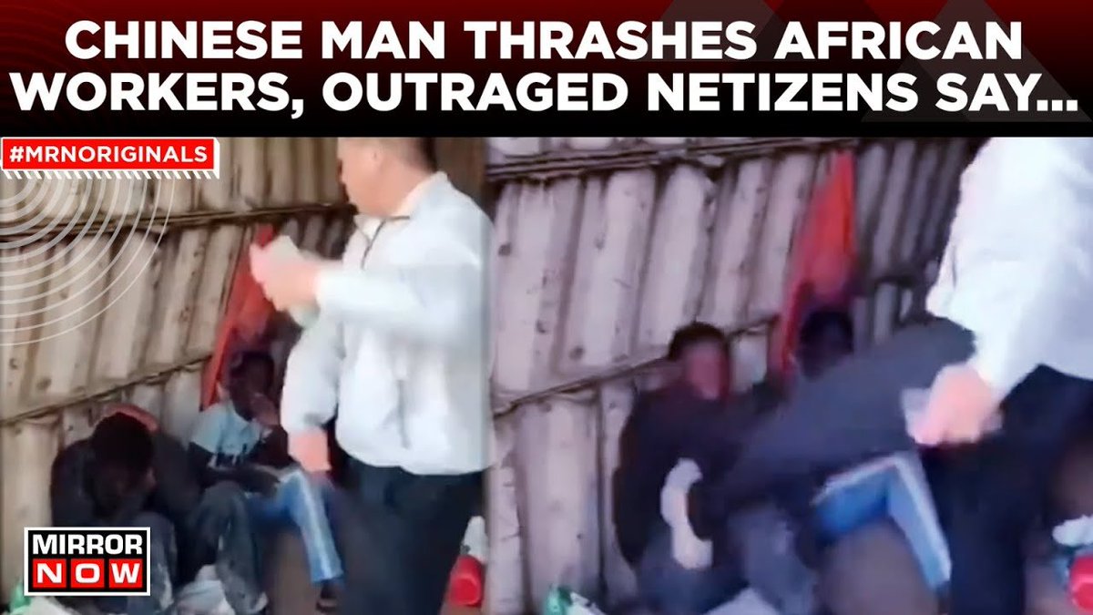 Paper Liger tweet media