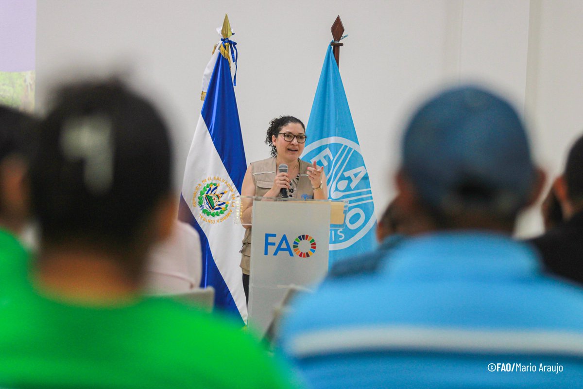 FAO El Salvador tweet media