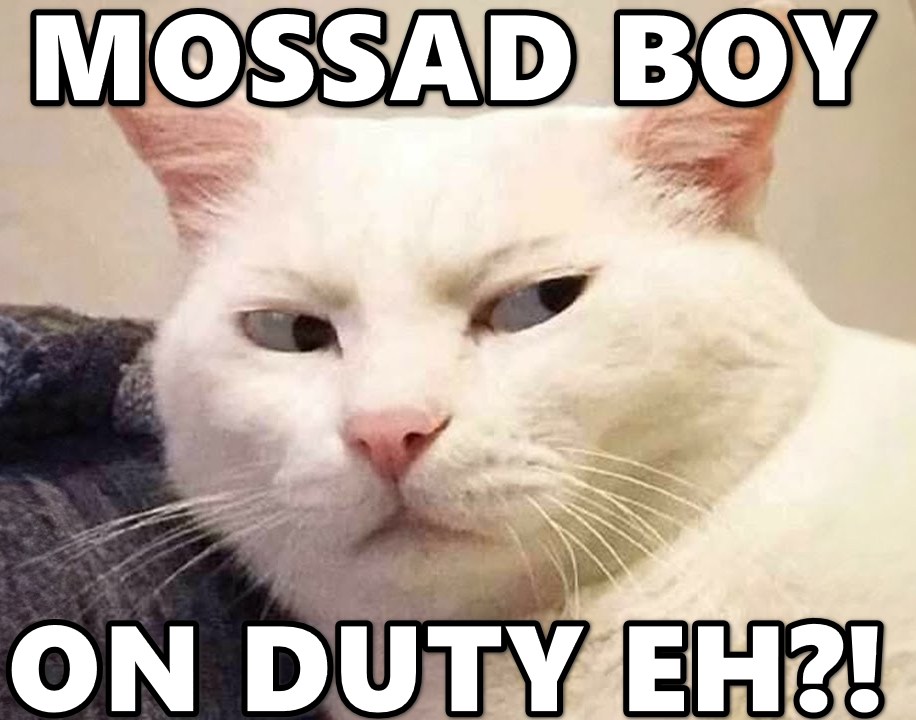 MartinPrejety tweet media